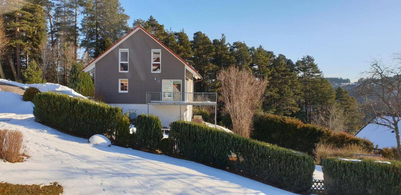 Sonneck Schonach Apartment Schonach im Schwarzwald Екстериор снимка