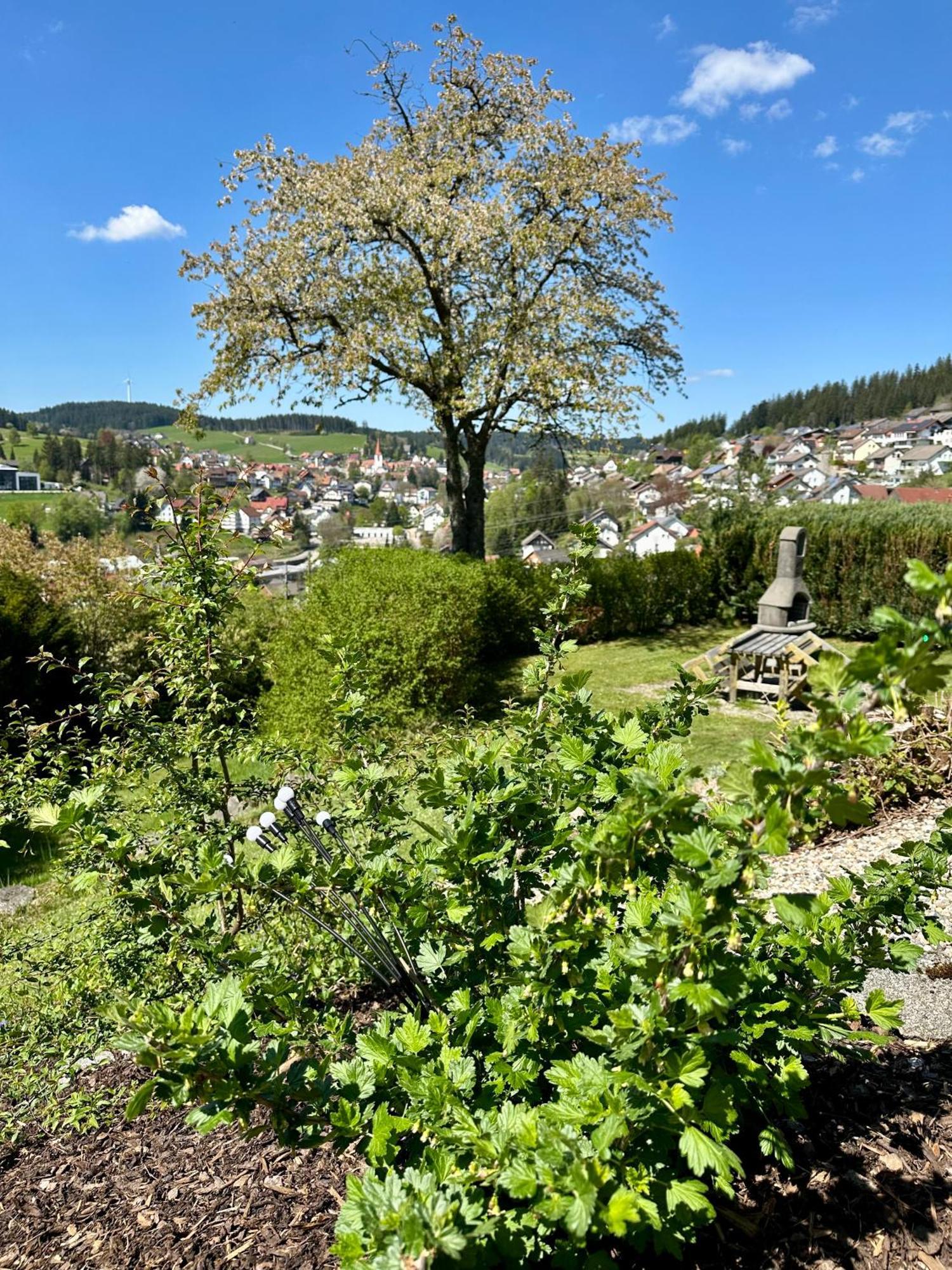 Sonneck Schonach Apartment Schonach im Schwarzwald Екстериор снимка