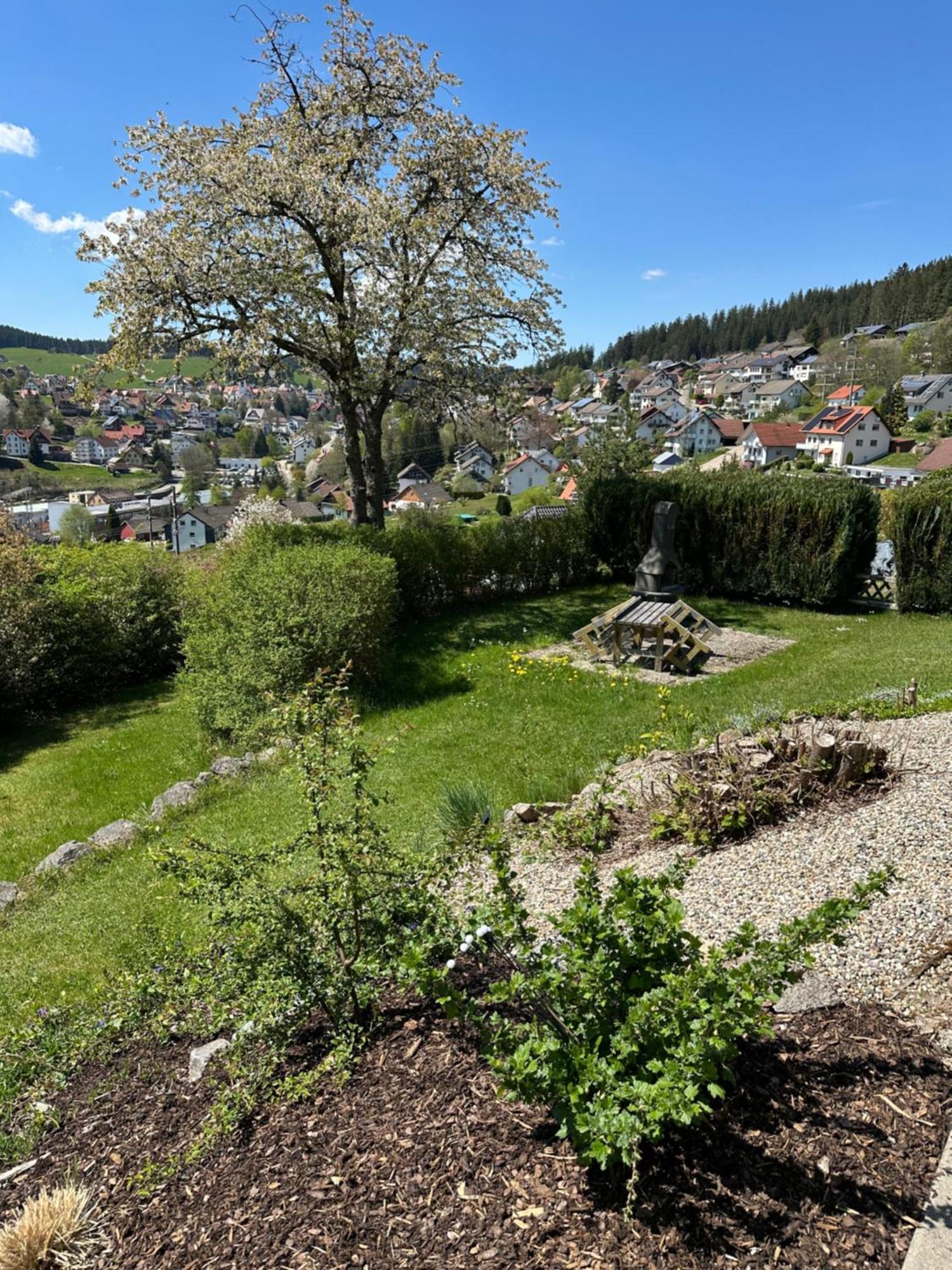 Sonneck Schonach Apartment Schonach im Schwarzwald Екстериор снимка